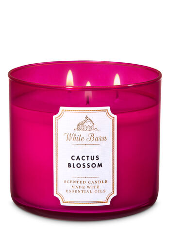 Duftkerze mit Kaktusblüten - White Barn
