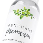 Lubrifiant_Penchant_Premium_Silicone