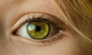 Comment Utiliser de l’Eyeliner Blanc au lieu du Noir : 10 Conseils & Astuces