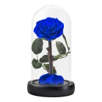trandafir-etern-albastru-sub-clopotul