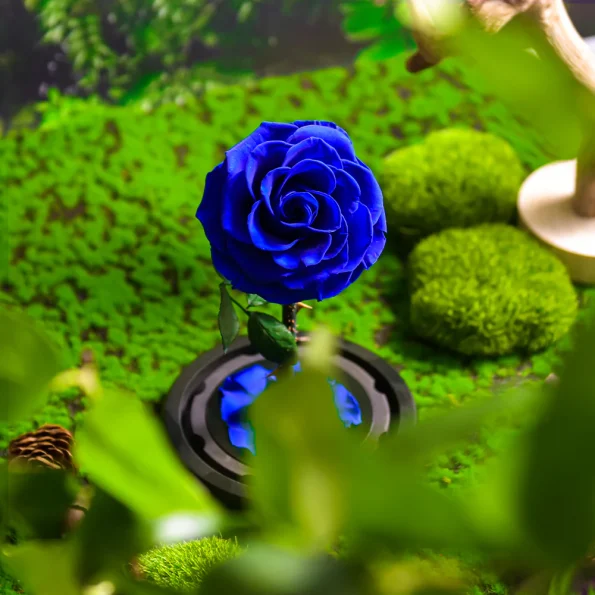 Rose Éternelle-Bleue-Sous-Cloche-Lumière-LED-XL-2