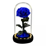 trandafir-etern-albastru-sub-clopotul-de-lumina-led-1