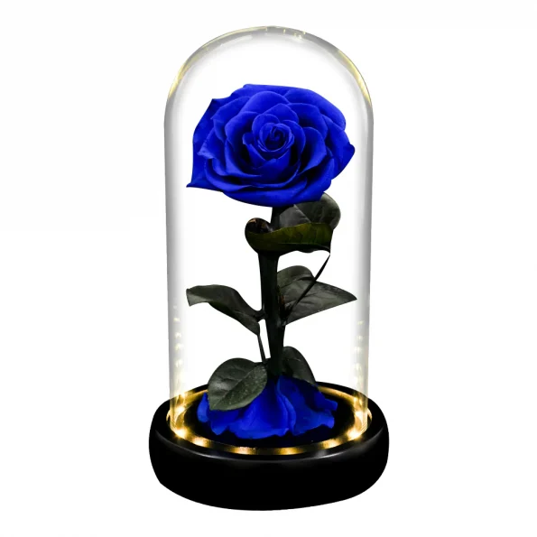 Rose Éternelle-Bleue-Sous-Cloche-Lumière-LED-XL-3