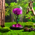 trandafir-etern-roz-sub-clopotul
