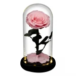 Trandafir-Etern-Roz