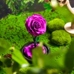 rosa-eterna-Violeta-luz-led-xl