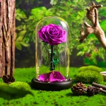 Rose Éternelle-Violette-Sous-Cloche-Lumière-LED-XL