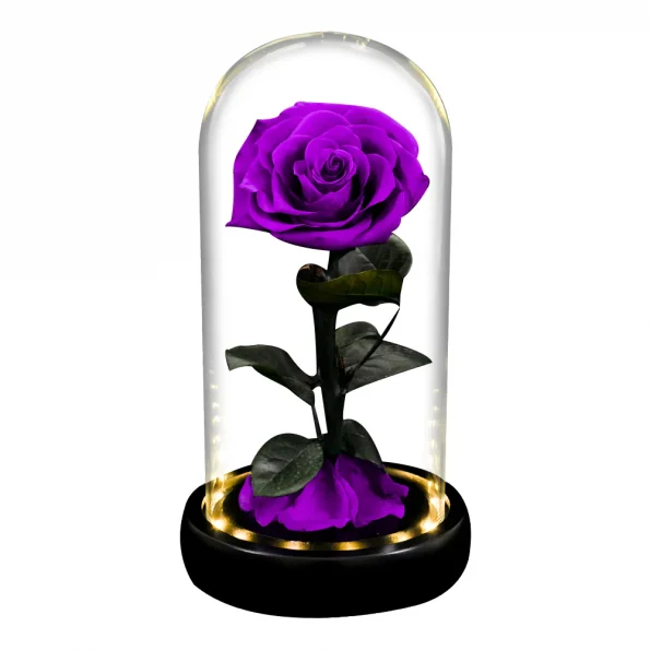 trandafir-etern-mov-sub-clopotul-de-lumina-led-2