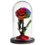 trandafir-etern-multicolor-sub-clopotul